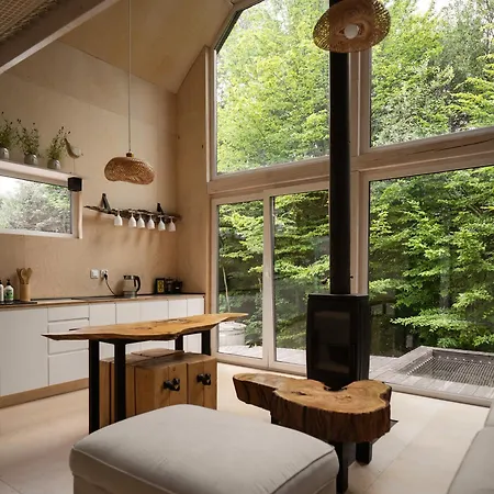 Schody Do Wody Linia Brzegowa Jeziora Kaszuby Domek alpejski