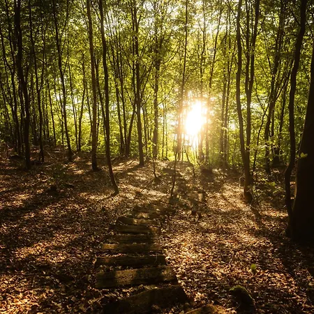 Schody Do Wody Linia Brzegowa Jeziora Kaszuby Domek alpejski