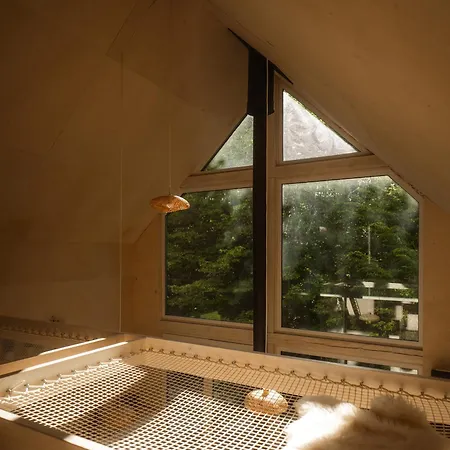 Schody Do Wody Linia Brzegowa Jeziora Kaszuby