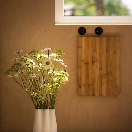 Schody Do Wody Linia Brzegowa Jeziora Kaszuby