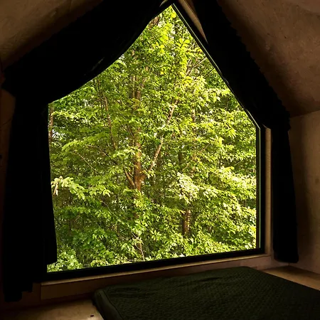 Schody Do Wody Linia Brzegowa Jeziora Kaszuby