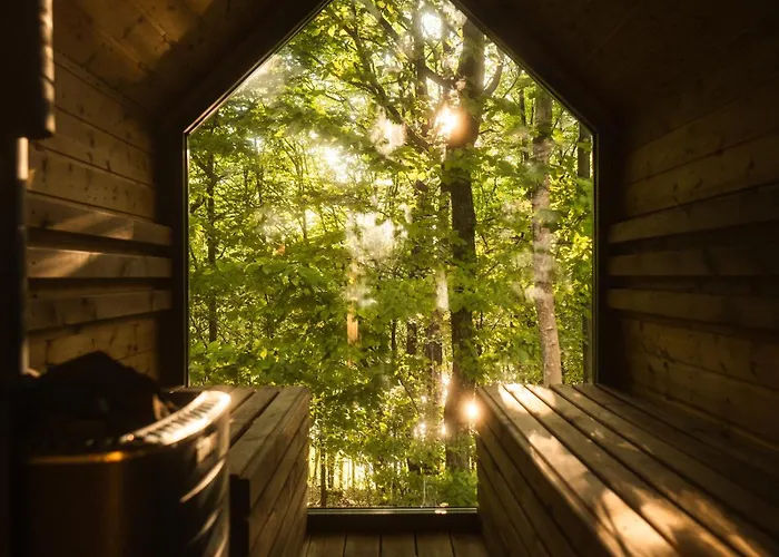 Linia Brzegowa Jeziora Kaszuby Sauna I Balia *