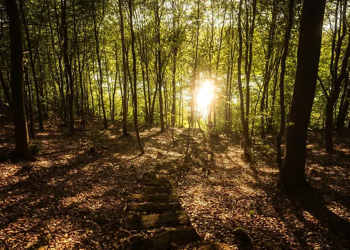Linia Brzegowa Jeziora Kaszuby Sauna I Balia 木屋