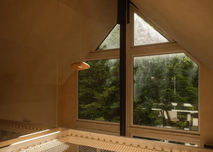 Linia Brzegowa Jeziora Kaszuby Sauna I Balia