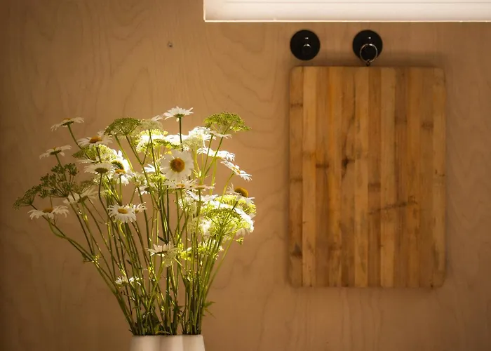 Linia Brzegowa Jeziora Kaszuby Sauna I Balia